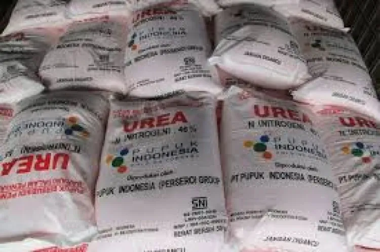 Deregulasi Pupuk Perkuat Swasembada Pangan Nasional