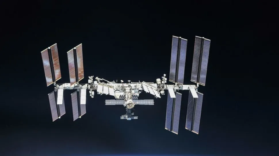 Jamur Jadi Kunci Ekstraksi Logam Berharga dari Meteorit di Luar Angkasa