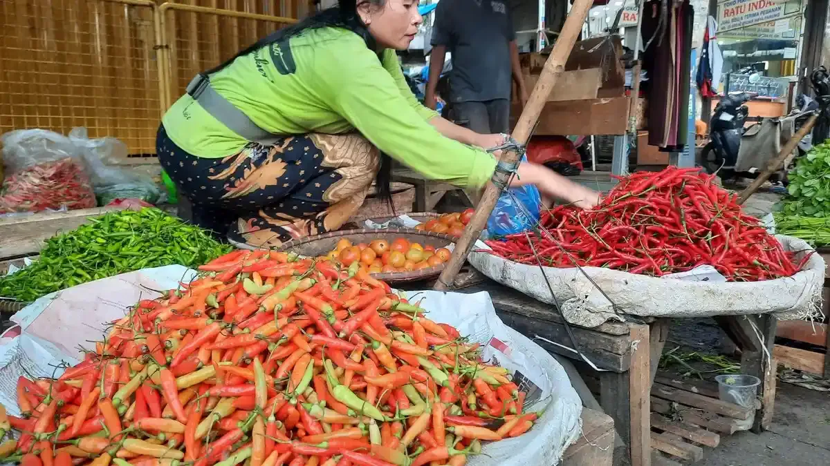 Kenaikan Harga Cabai Keriting di Jakarta Dipicu Penurunan Pasokan akibat Hujan