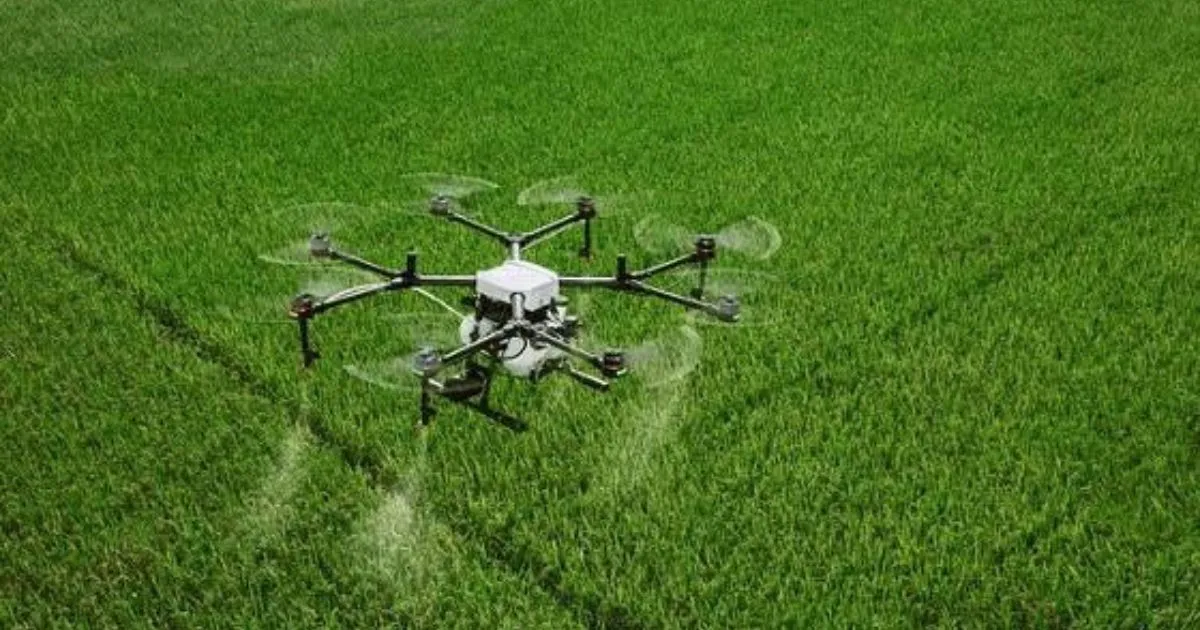 Pemkab Rembang Maksimalkan Drone untuk Tingkatkan Hasil Pertanian Padi