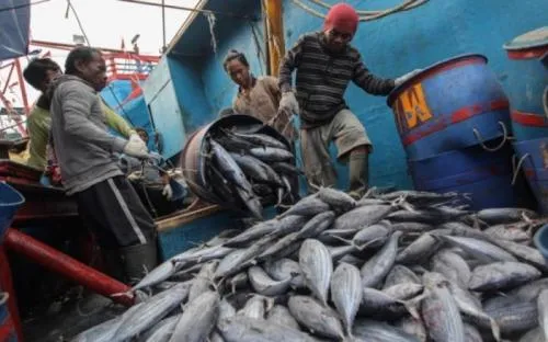 Harga Komoditas Laut Stabil Menjelang Ramadan 2026