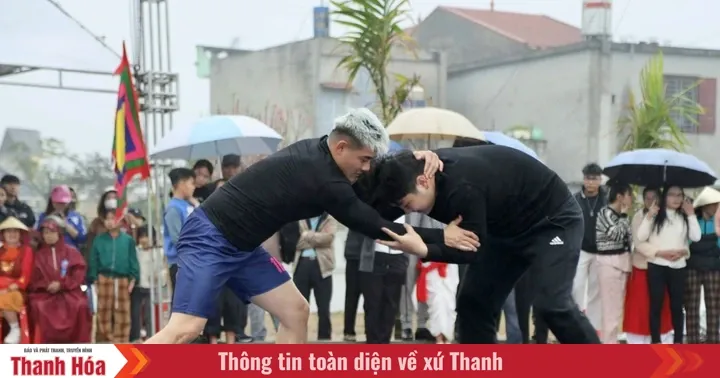 Festival Gulat Tradisional Hoang Chau: Meriahkan Awal Musim Semi
