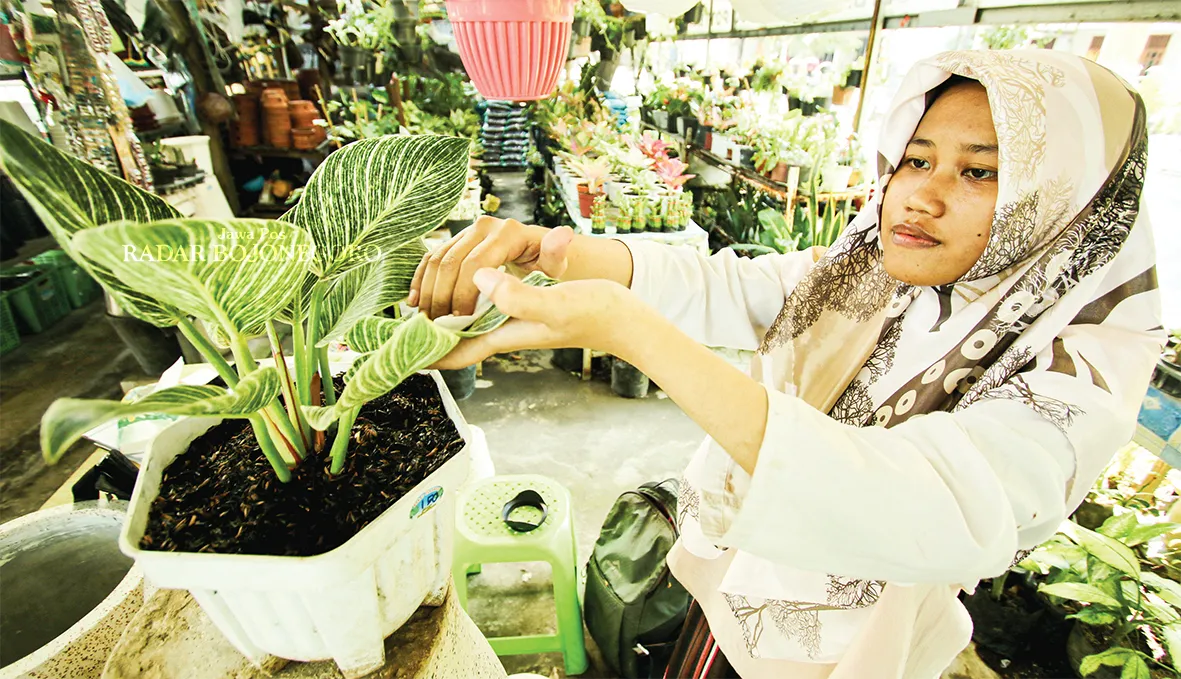 Hobi Tanaman Hias: Membangun Kepribadian Positif dan Stabil