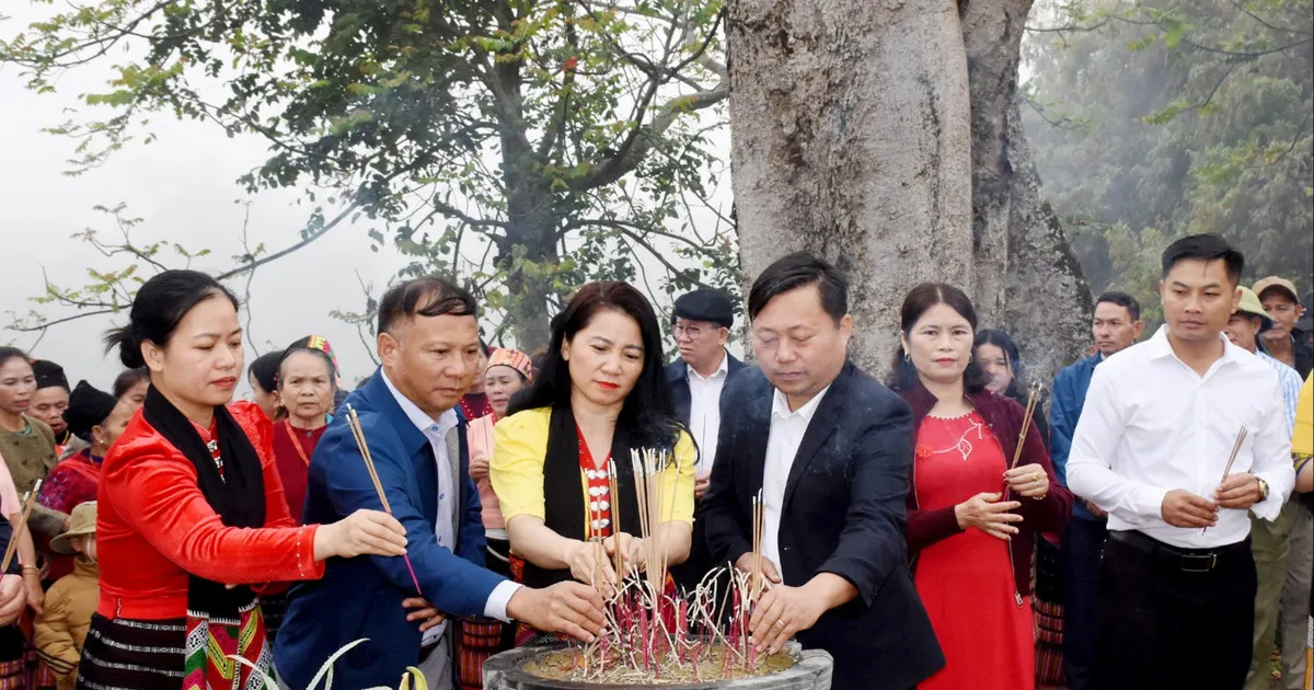Kemeriahan Festival Panen di Desa Thailand Barat