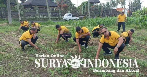 Kapolsek Marga Dukung Ketahanan Pangan Melalui Penanaman Jagung