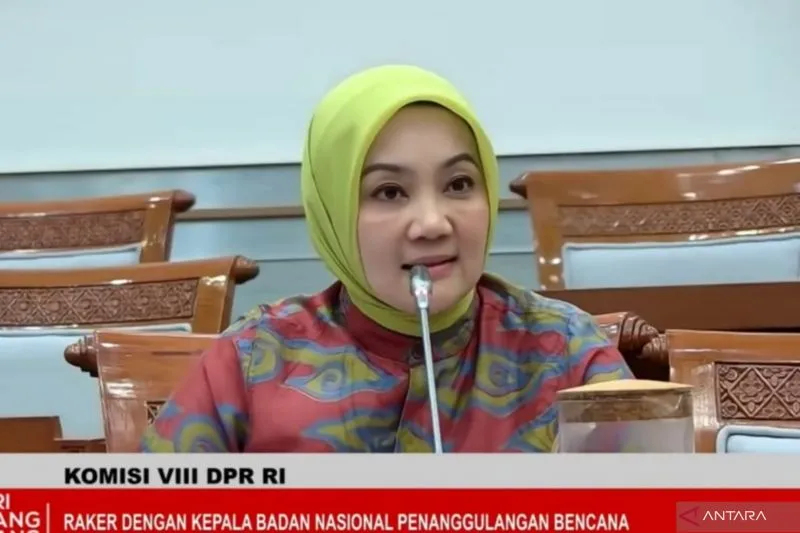 DPR Dorong BNPB Kembangkan Sistem Digital untuk Penyaluran Bantuan Bencana