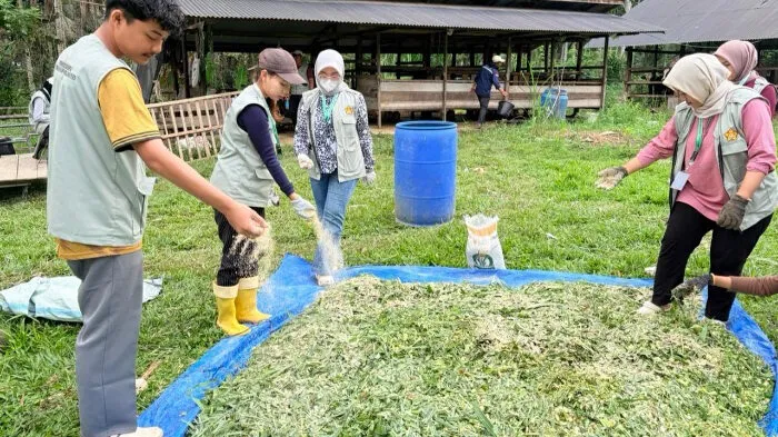 USK Luncurkan Program Teknologi Tepat Guna untuk Pemulihan Pasca Banjir di Bireuen