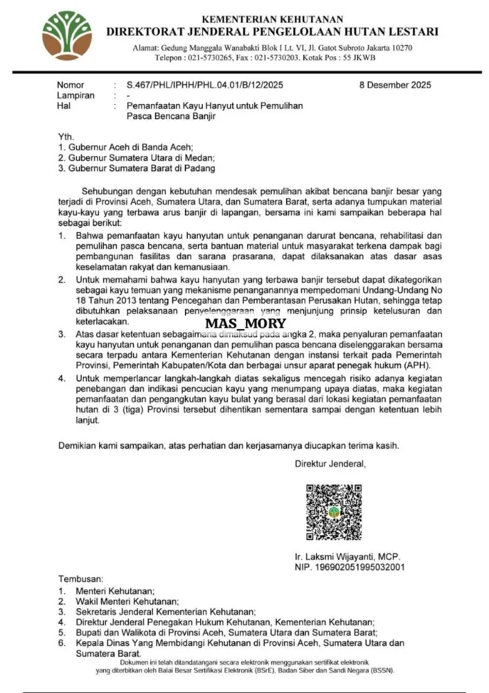 Bupati Aceh Tamiang Perjuangkan Pemanfaatan Kayu Sisa Banjir untuk Masyarakat