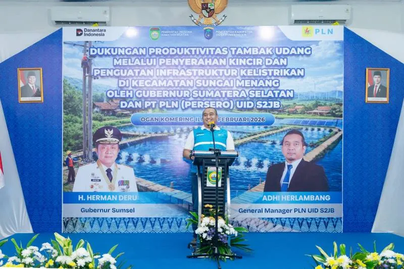 PLN Perkuat Infrastruktur Listrik untuk Tingkatkan Produktivitas Tambak Udang di OKI