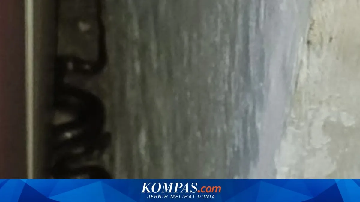 Petugas Damkar Evakuasi Ular Kobra di Indramayu