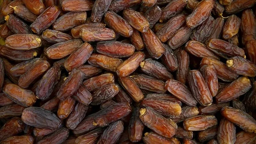 Dugaan Penyembunyian Asal Kurma Israel di Eropa Meningkat