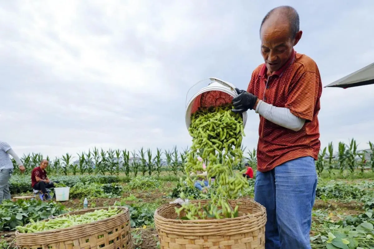 Mendag: Impor Produk Pertanian AS Tarif 0% Dukung Industri Dalam Negeri