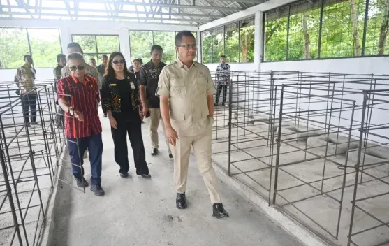 Pengembangan Pembibitan Babi Tingkatkan PAD dan Kesejahteraan Peternak di Kupang