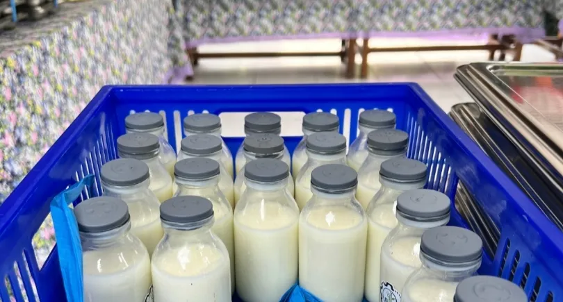 Kandungan Gizi Susu dalam Program Makan Bergizi Gratis (MBG) Sesuai Aturan BPOM