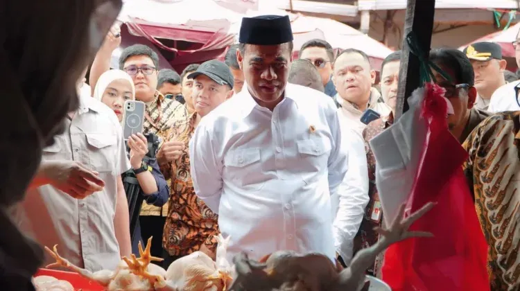 Harga Ayam dan Bawang Turun Setelah Sidak Mentan di Pasar Kebayoran