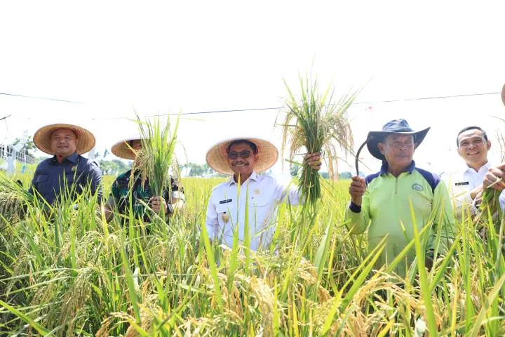 Capaian Satu Tahun Sachrudin-Maryono: Pertumbuhan Ekonomi dan Ketahanan Pangan Meningkat