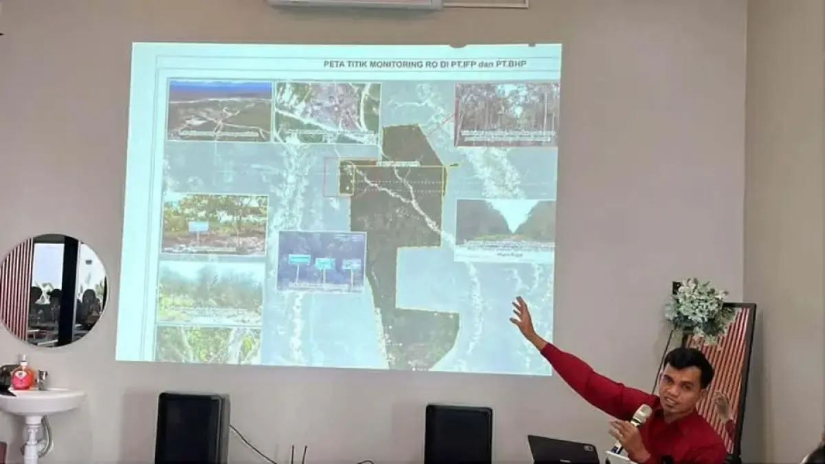 Krisis Ekologis di Kalimantan Tengah: 480 Ribu Hektare Hutan Hilang dalam Empat Tahun
