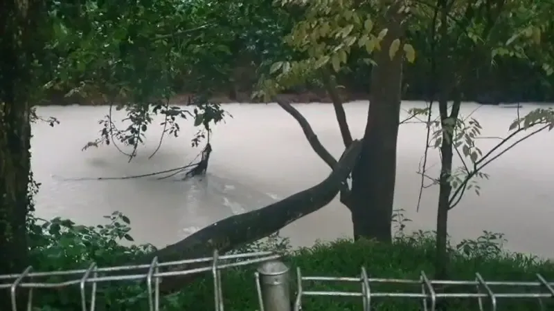 Pencemaran Sungai Cisadane: Tindakan Perbaikan dan Penegakan Hukum Segera Diperlukan