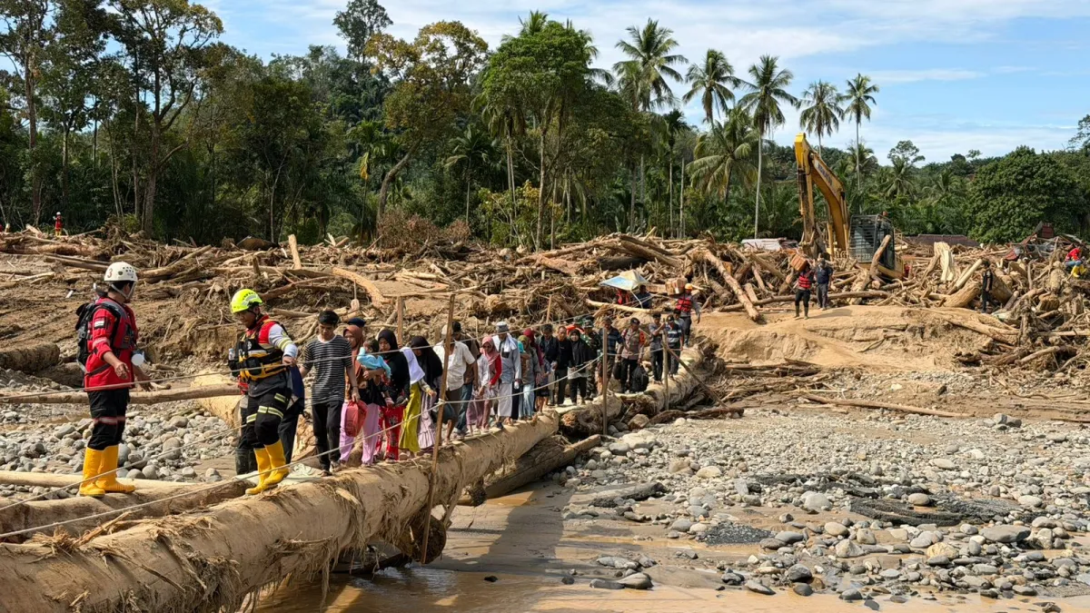 Mengatasi Dampak Bencana di Sumatera: Pentingnya Perubahan Tata Kelola Hutan dan Lahan