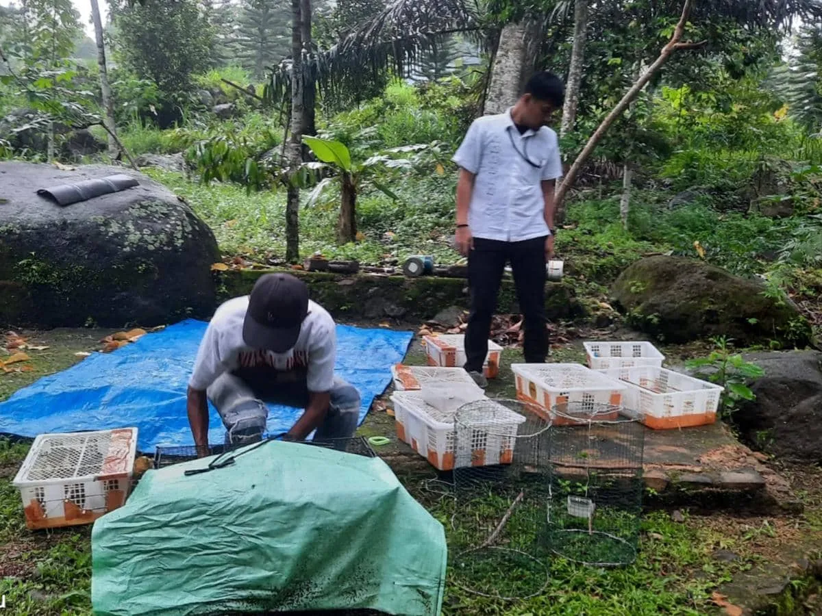 327 Burung Ilegal Dilepasliarkan di Taman Hutan Raya Wan Abdul Rachman