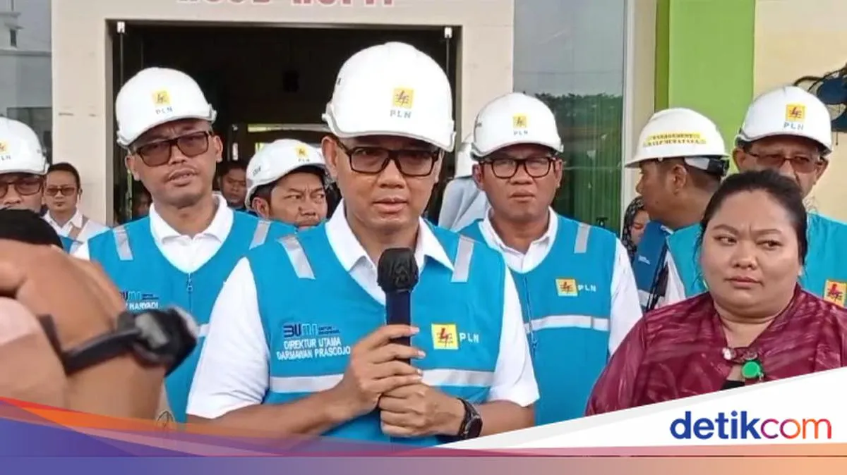 Pembangunan Infrastruktur Era Jokowi Dapatkan Pengakuan Positif dari PLN