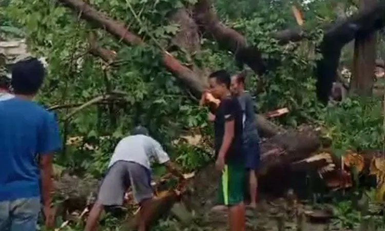 Warga Gresik Adakan Tumpengan Usai Pohon Besar Tumbang di Makam