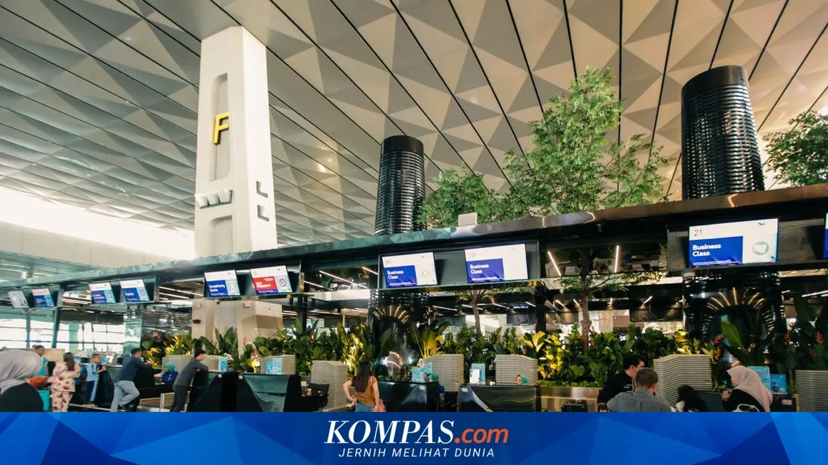 Penumpang Pesawat Utamakan Kenyamanan di Atas Harga Murah