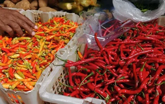 Kenaikan Harga Cabai dan Komoditas Lainnya di Pasar Rejowinangun Magelang