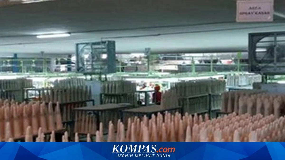 Mark Dynamics Optimis Capai Target Kinerja 2025 di Tengah Ketidakpastian Ekonomi