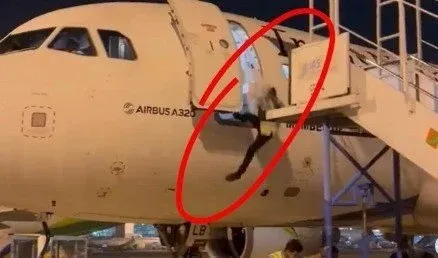 Petugas Bandara Jatuh dari Pesawat TransNusa di Soekarno-Hatta, Video Kejadian Viral