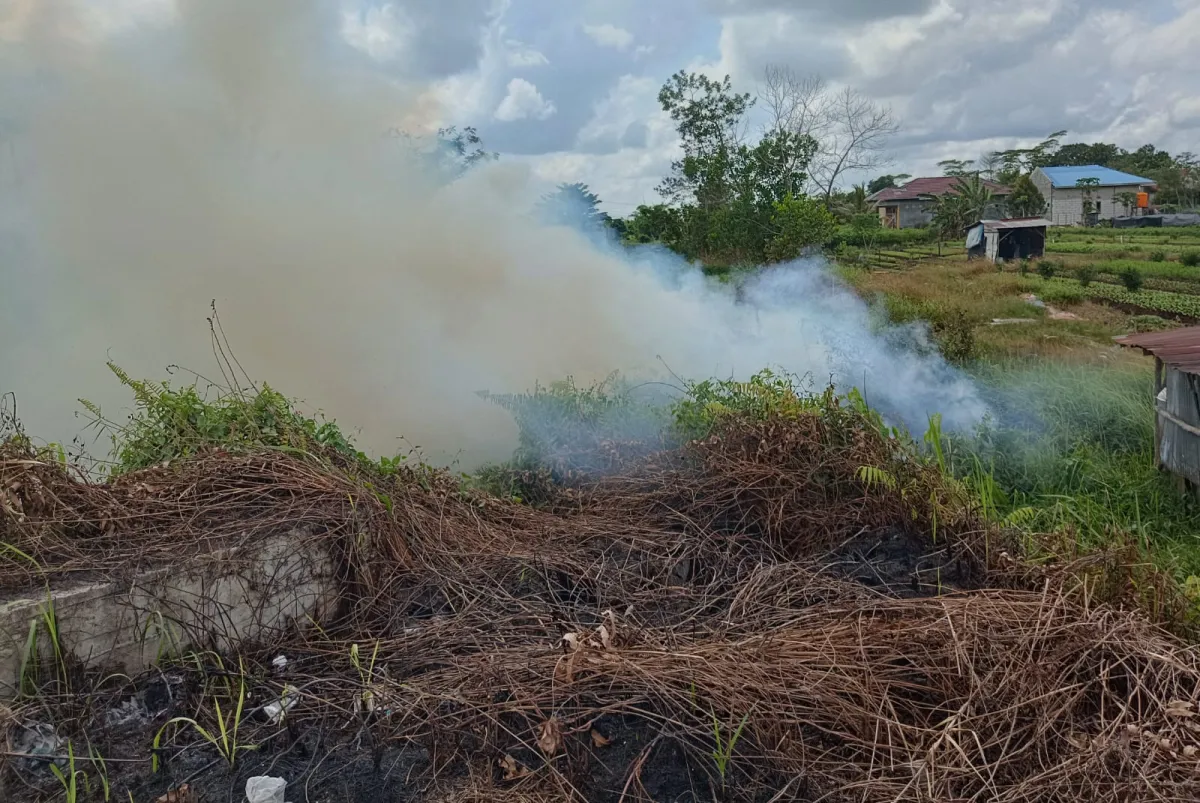 BMKG Temukan Enam Titik Panas di Kotim, Waspada Karhutla
