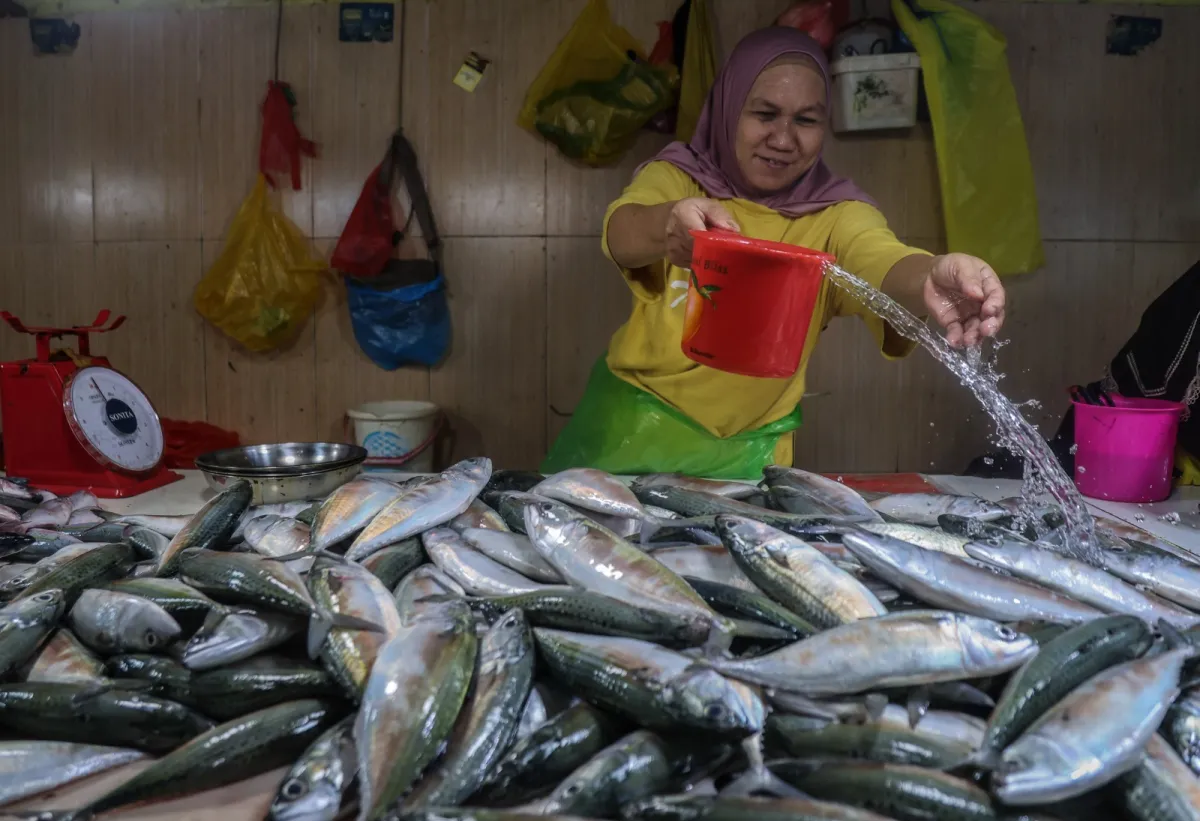 Kementerian Pastikan Stabilitas Harga Ikan Selama Ramadhan 1447 H