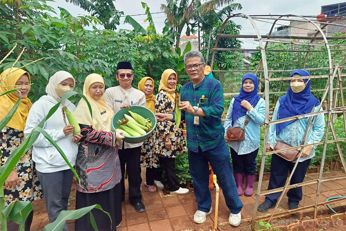 Panen 15 Kilogram Sayuran dari Urban Farming di Sukabumi Selatan