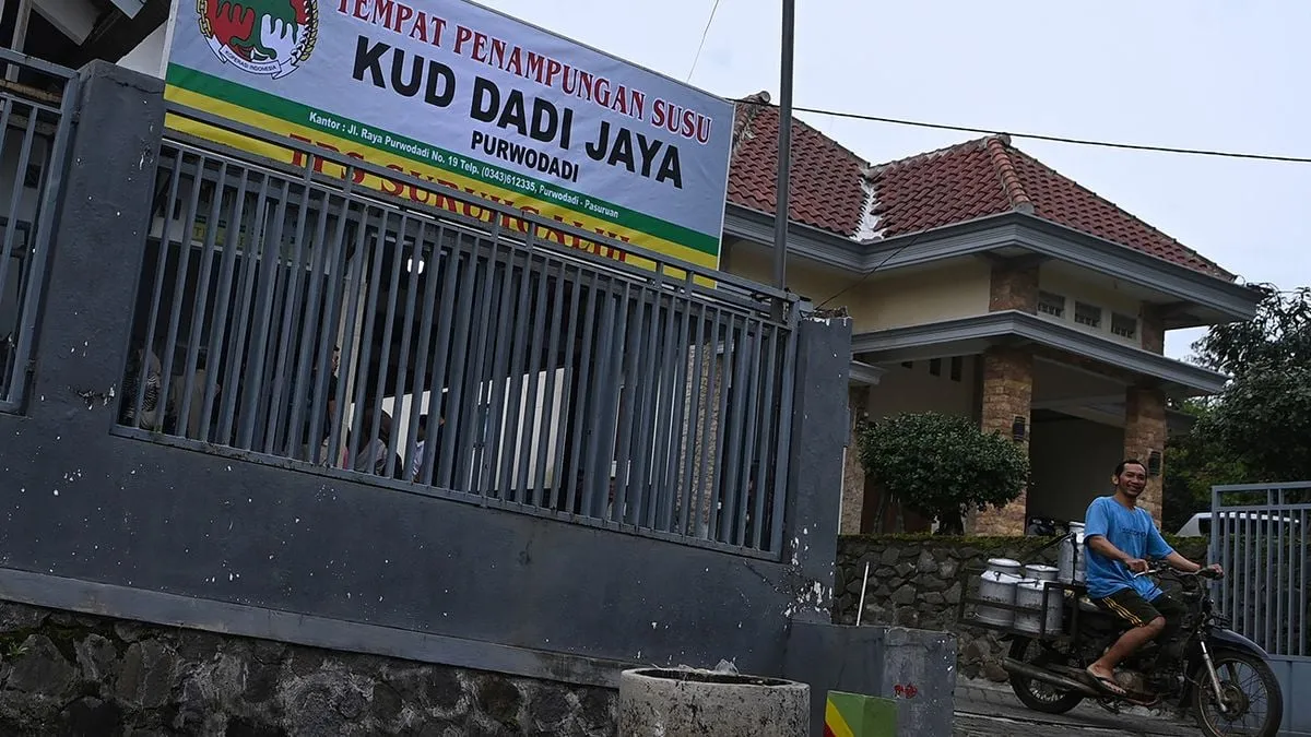 Penjelasan Mengenai Kandungan Susu MBG Sebesar 30 Persen