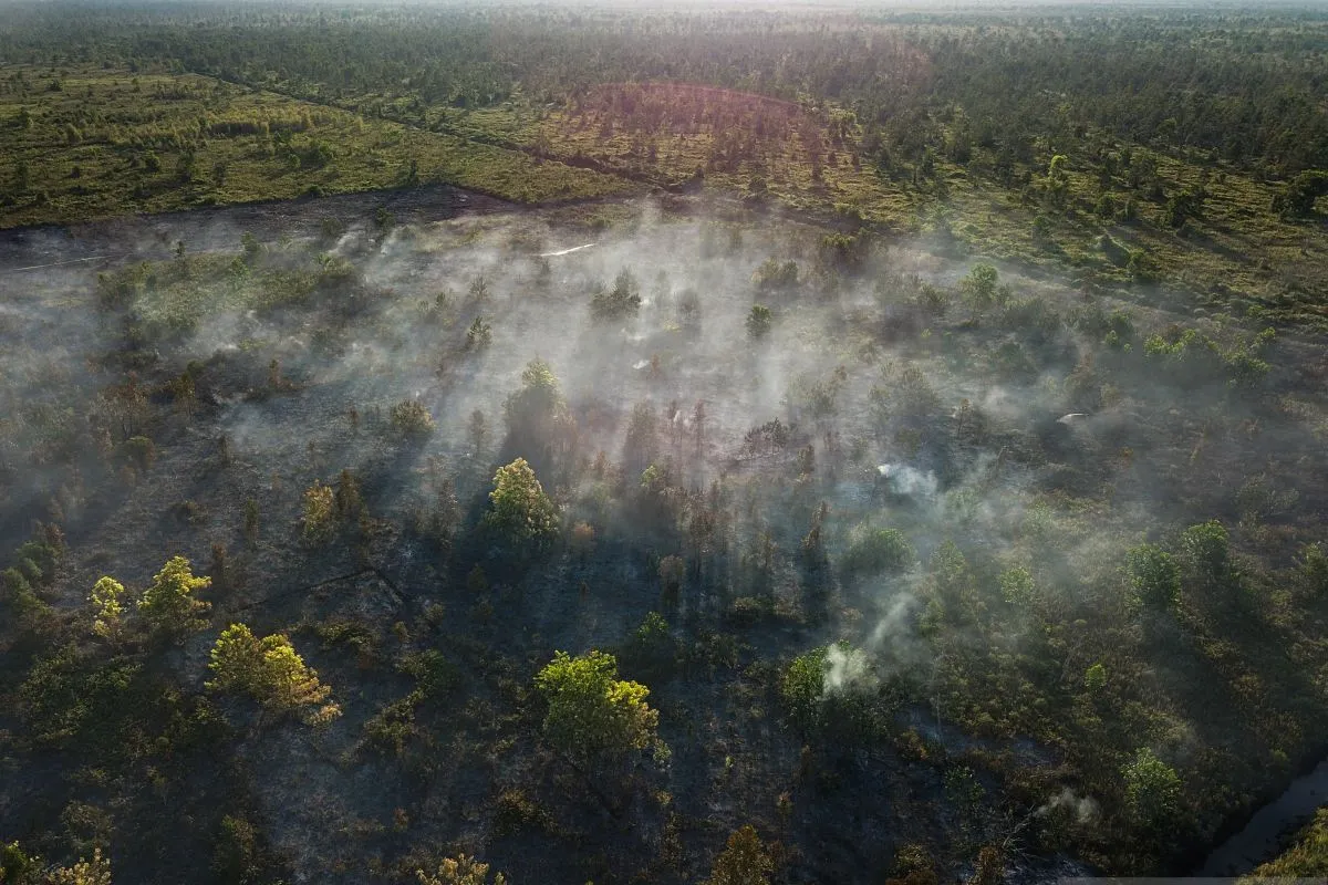 Kebakaran dan Kanal Penyebab Utama Kerusakan Lahan Gambut di Indonesia