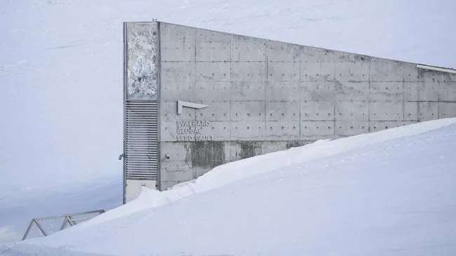 Svalbard Terancam Ketegangan Geopolitik AS-Rusia
