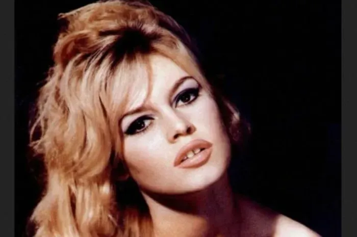 Brigitte Bardot, Ikon Budaya Prancis, Wafat di Usia 91 Tahun