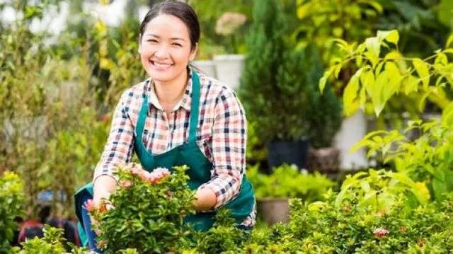 Berkebun Sebagai Terapi Alami di Tengah Kesibukan Kota