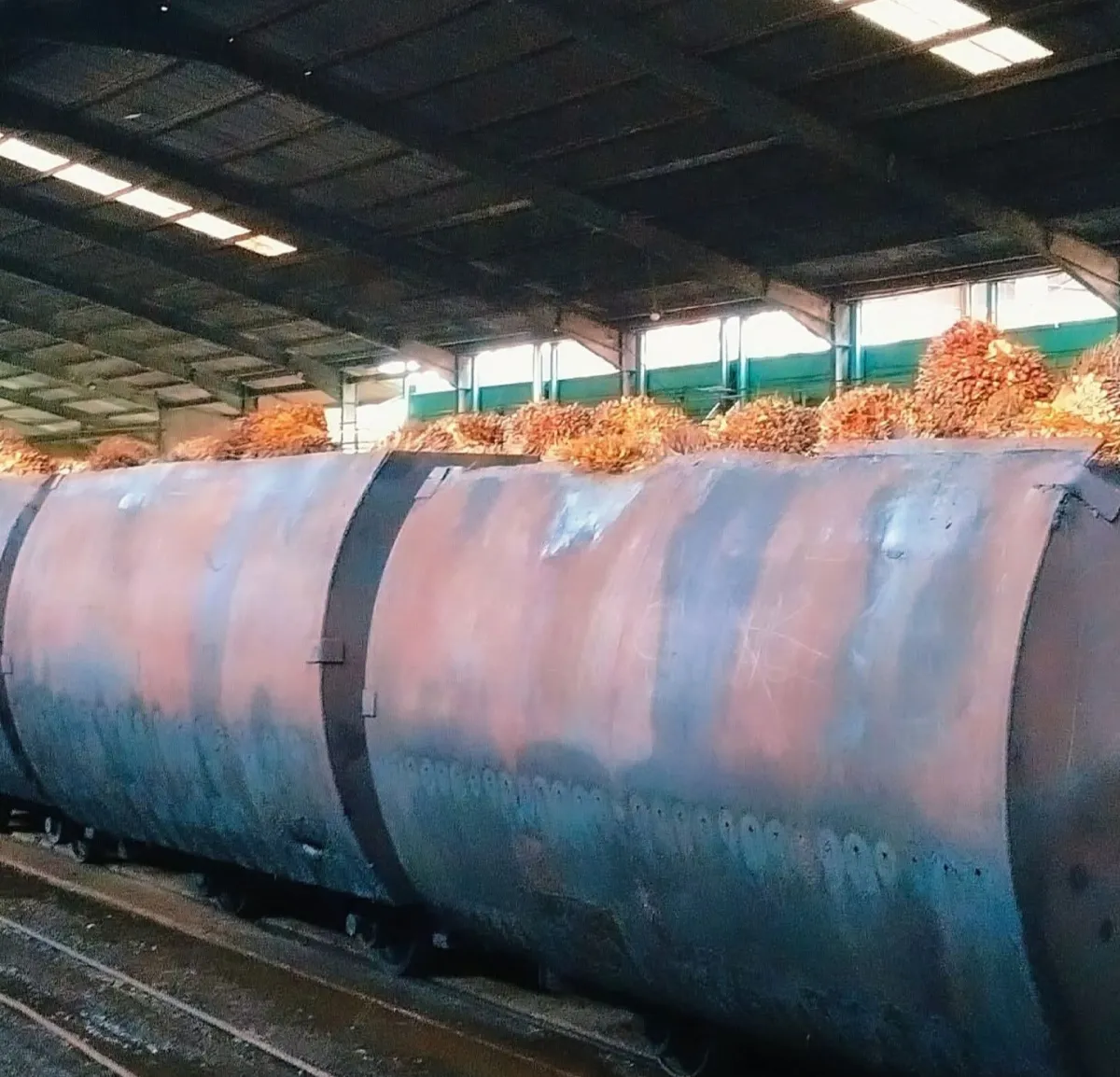 Industri Sawit: Solusi Cerdas Atasi Pengangguran di Pedesaan