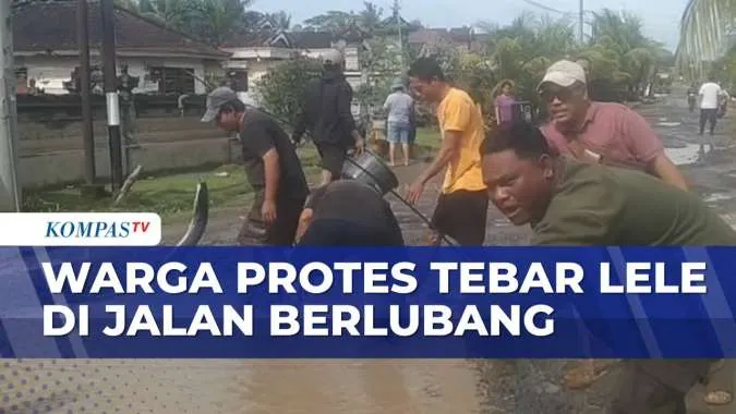 Warga Lampung Protes Jalan Berlubang dengan Menebar Lele