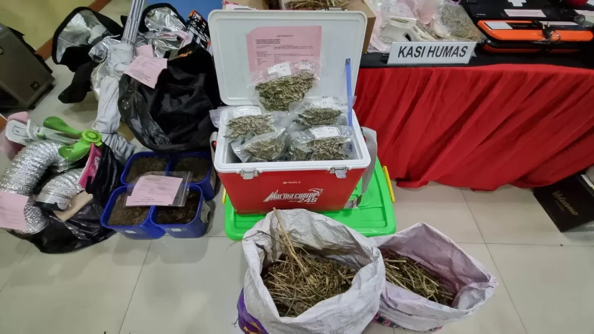 Kreator Konten di Jaksel Ditangkap Produksi Liquid Ganja di Rumah