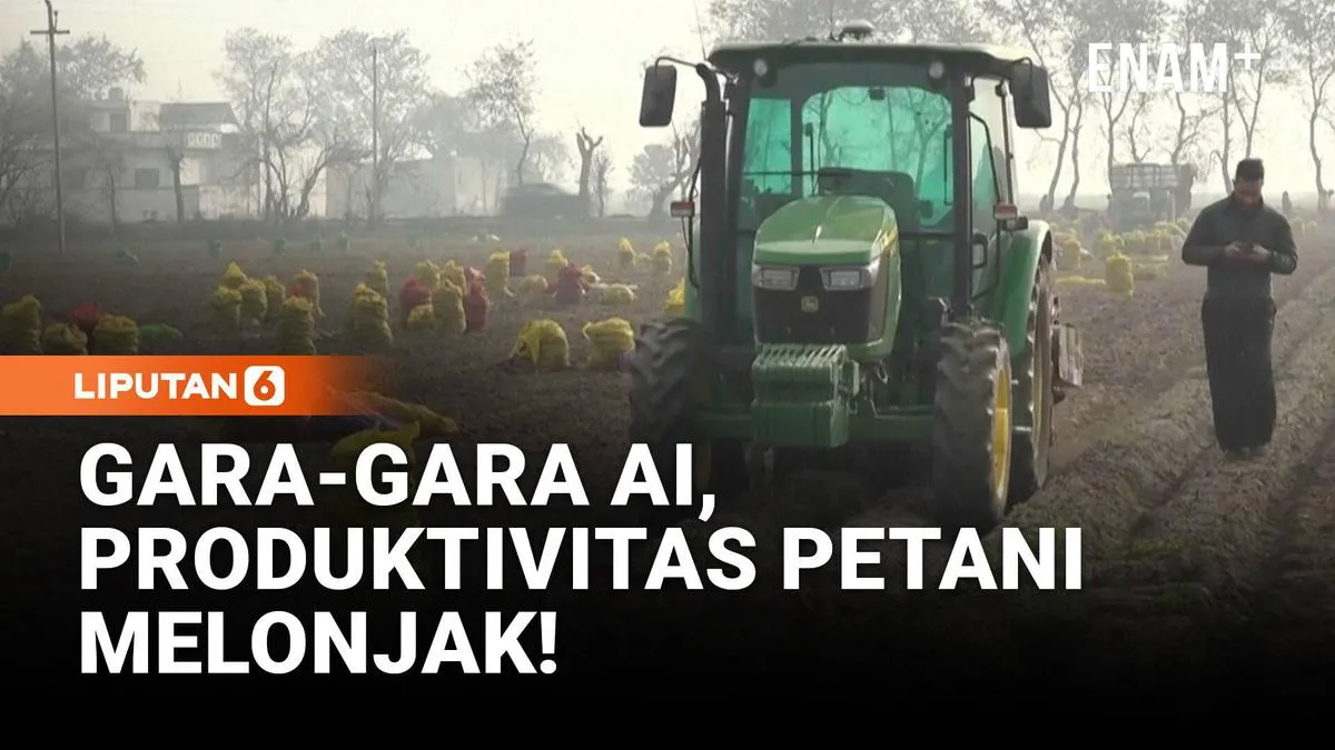 AI Tingkatkan Produktivitas Pertanian Kentang di India