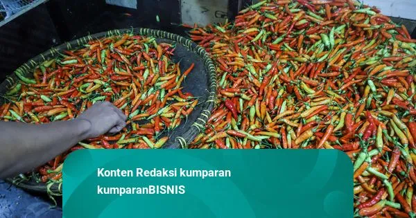 Kementan Gelontorkan Pasokan Cabai untuk Stabilkan Harga Ramadan