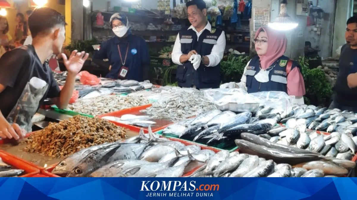 KKP Tegaskan MBG Tidak Sebabkan Kenaikan Harga Ikan