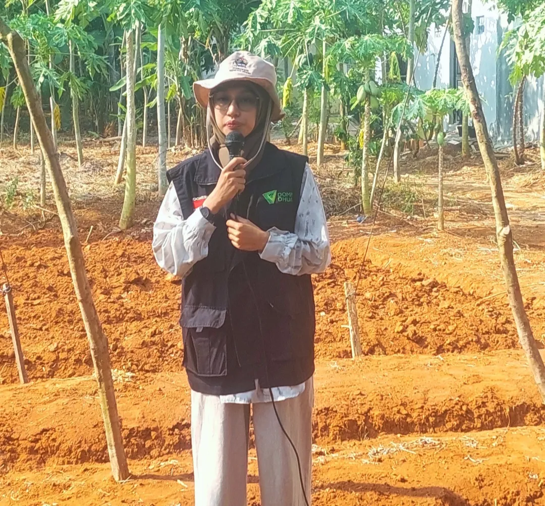 Program Sentra Jamur Dompet Dhuafa di Batang: Solusi Ekonomi bagi Warga Lokal