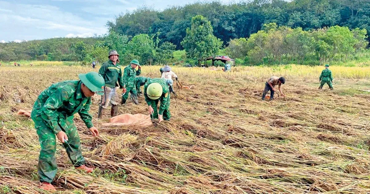 Pembangunan Berkelanjutan Tingkatkan Kesejahteraan di Wilayah Perbatasan