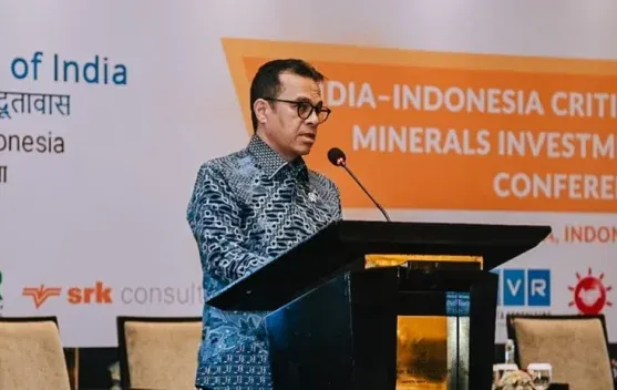 Kemkomdigi Usulkan Tiga Agenda Kerja Sama Teknologi dengan India