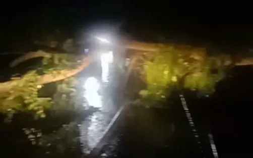 Pohon Tumbang di Batu Keramat Picu Kemacetan 2 Kilometer