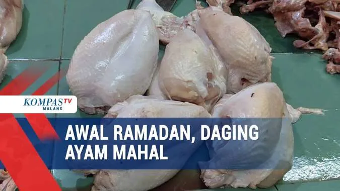 Harga Daging Ayam Potong Di Malang Melonjak Menjelang Ramadan