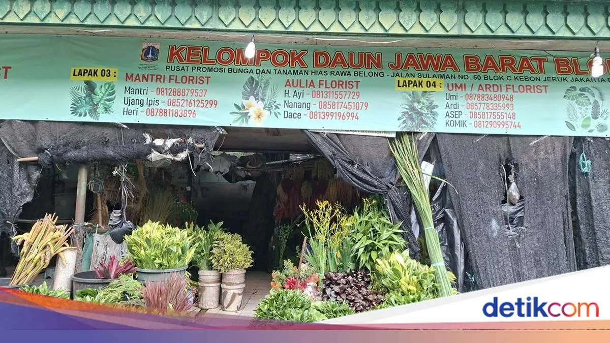 Informasi Terkini dari Detikcom
